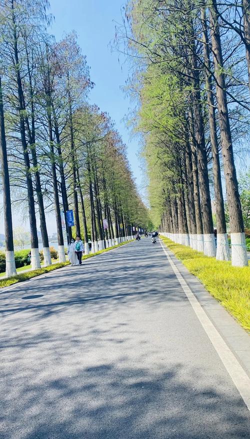 休闲武汉可以玩的地方_休闲武汉可以去哪里玩_武汉哪里可以休闲