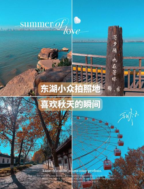 武汉休闲好去处大揭秘！东湖绿道的四季精彩活动等你来赏