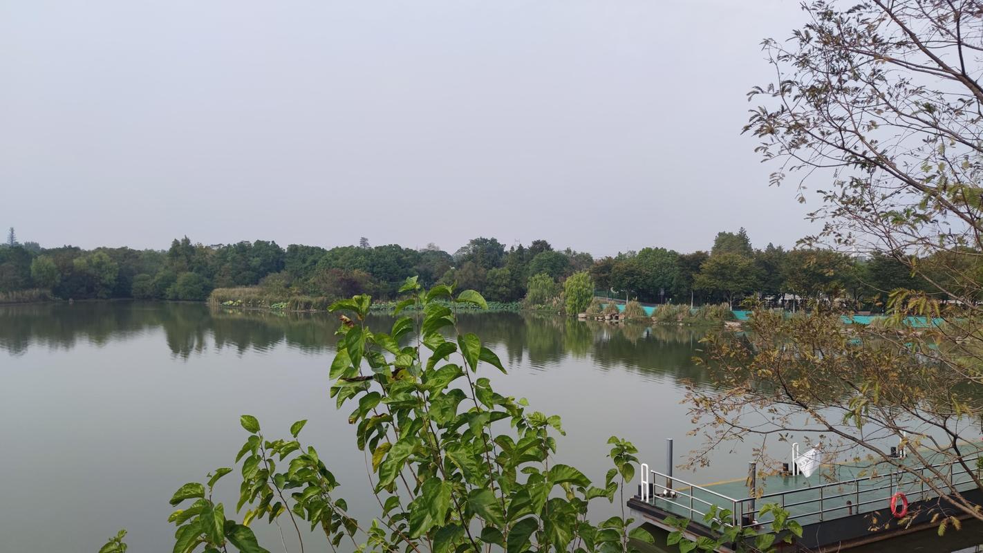 武汉哪里可以休闲_休闲武汉可以去哪里玩_休闲武汉可以去的景点